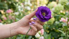 Ten kolor tak naprawdę nie istnieje — to twój mózg go wymyślił