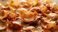 Skórki cebuli zamiast gotowych produktów: jak wykorzystać je w ogrodzie