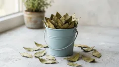 Wystarczy kilka listków tej przyprawy — a powietrze w Twoim domu stanie się świeższe i czystsze